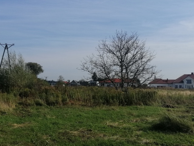 Działka Sprzedaż - Lubiczów